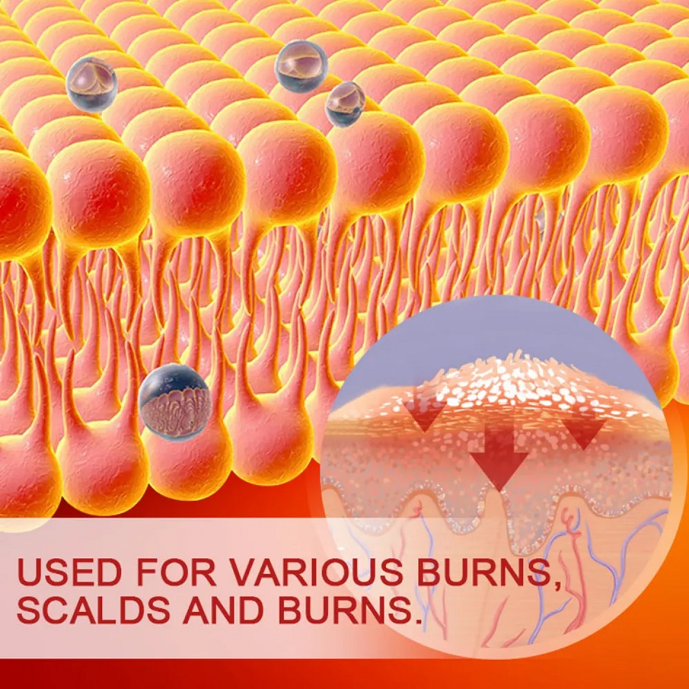 Wound Dressing Adhesive Cover  - Licorice Root Extract のレビューと価格